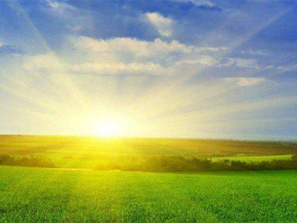 2020H1，錦州陽光戮力同心、運(yùn)營達(dá)滿產(chǎn)