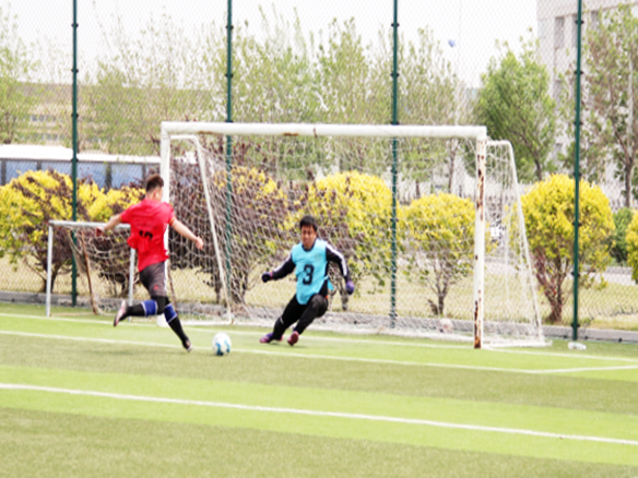 人文陽光 | 燃情綠茵場！陽光能源“陽光杯足球賽”正式開賽
