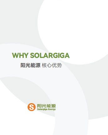 陽(yáng)光能源核心優(yōu)勢(shì)